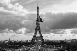 tobias schult photography