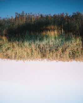 tobias schult photography