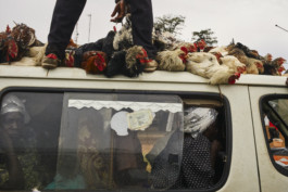 tobias schult photography