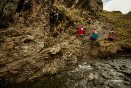 tobias schult photography