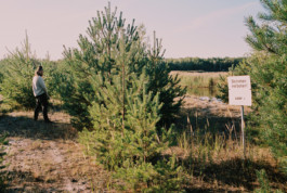 tobias schult photography