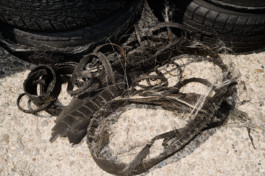 tobias schult photography