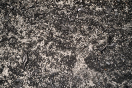 tobias schult photography