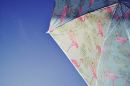 tobias schult photography