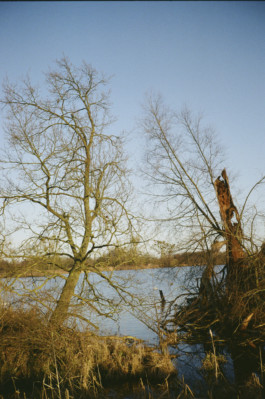 tobias schult photography