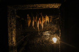 tobias schult photography