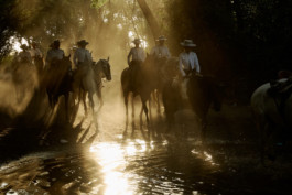 tobias schult photography