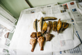 tobias schult photography