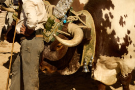 tobias schult photography