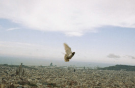 tobias schult photography