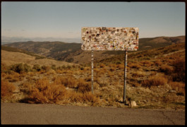 tobias schult photography