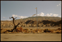 tobias schult photography