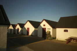 tobias schult photography