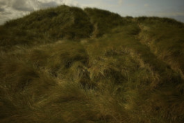 tobias schult photography