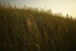 tobias schult photography