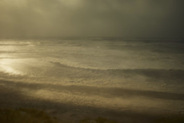 tobias schult photography