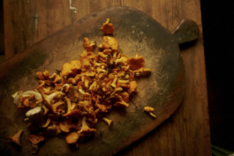 tobias schult photography