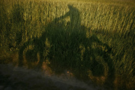 tobias schult photography