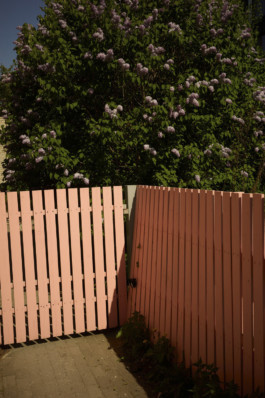 tobias schult photography