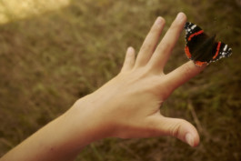 tobias schult photography