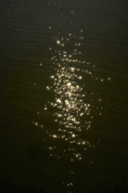 tobias schult photography