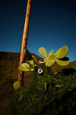 tobias schult photography