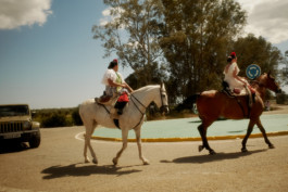 tobias schult photography