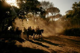 tobias schult photography