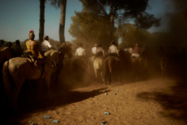 tobias schult photography