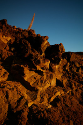 tobias schult photography