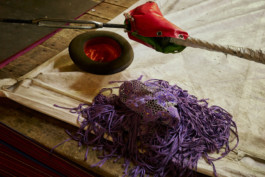 tobias schult photography