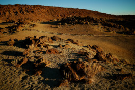 tobias schult photography