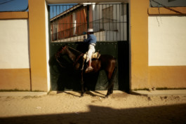 tobias schult photography