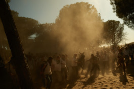 tobias schult photography