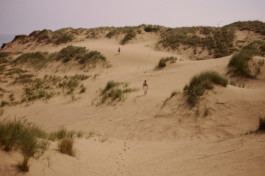 tobias schult photography