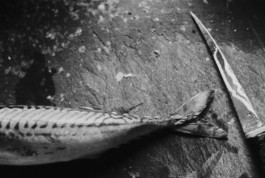 tobias schult photography