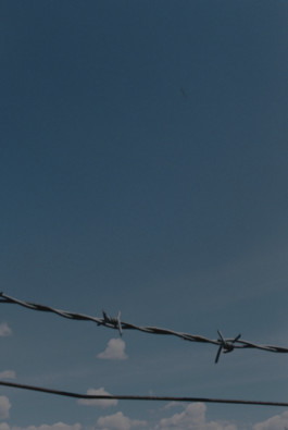 tobias schult photography