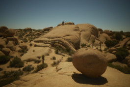 tobias schult photography