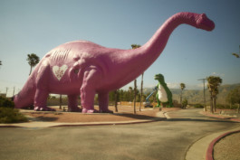 tobias schult photography