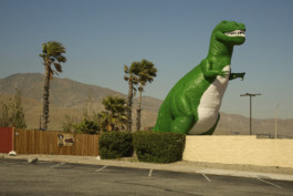 tobias schult photography