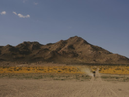 tobias schult photography