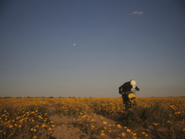 tobias schult photography