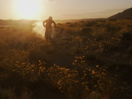 tobias schult photography