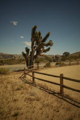 tobias schult photography