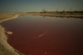 tobias schult photography