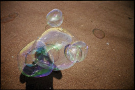 tobias schult photography