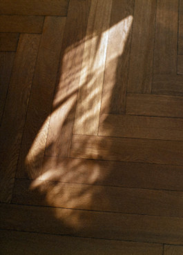 tobias schult photography