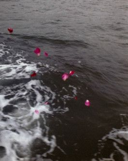 tobias schult photography