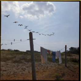 tobias schult photography