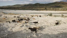 tobias schult photography